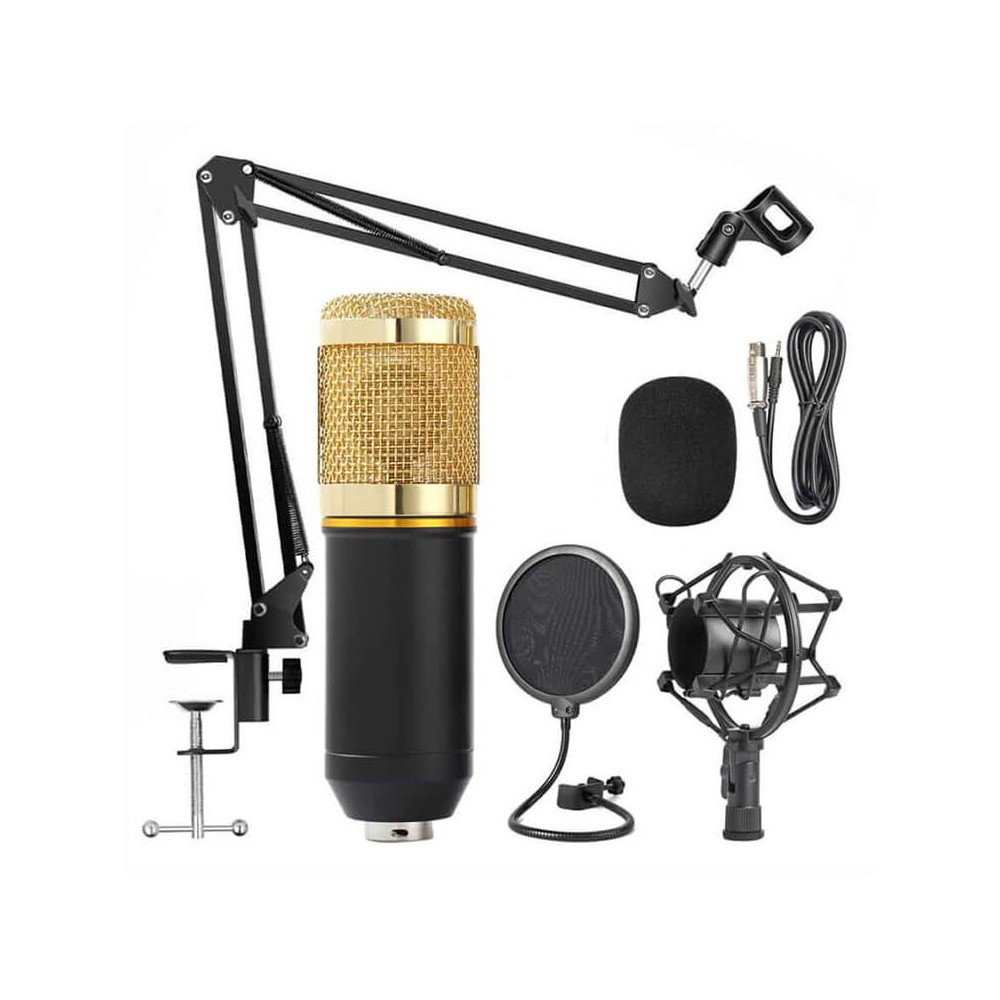 Studijski mikrofon sa rukom - Andowl